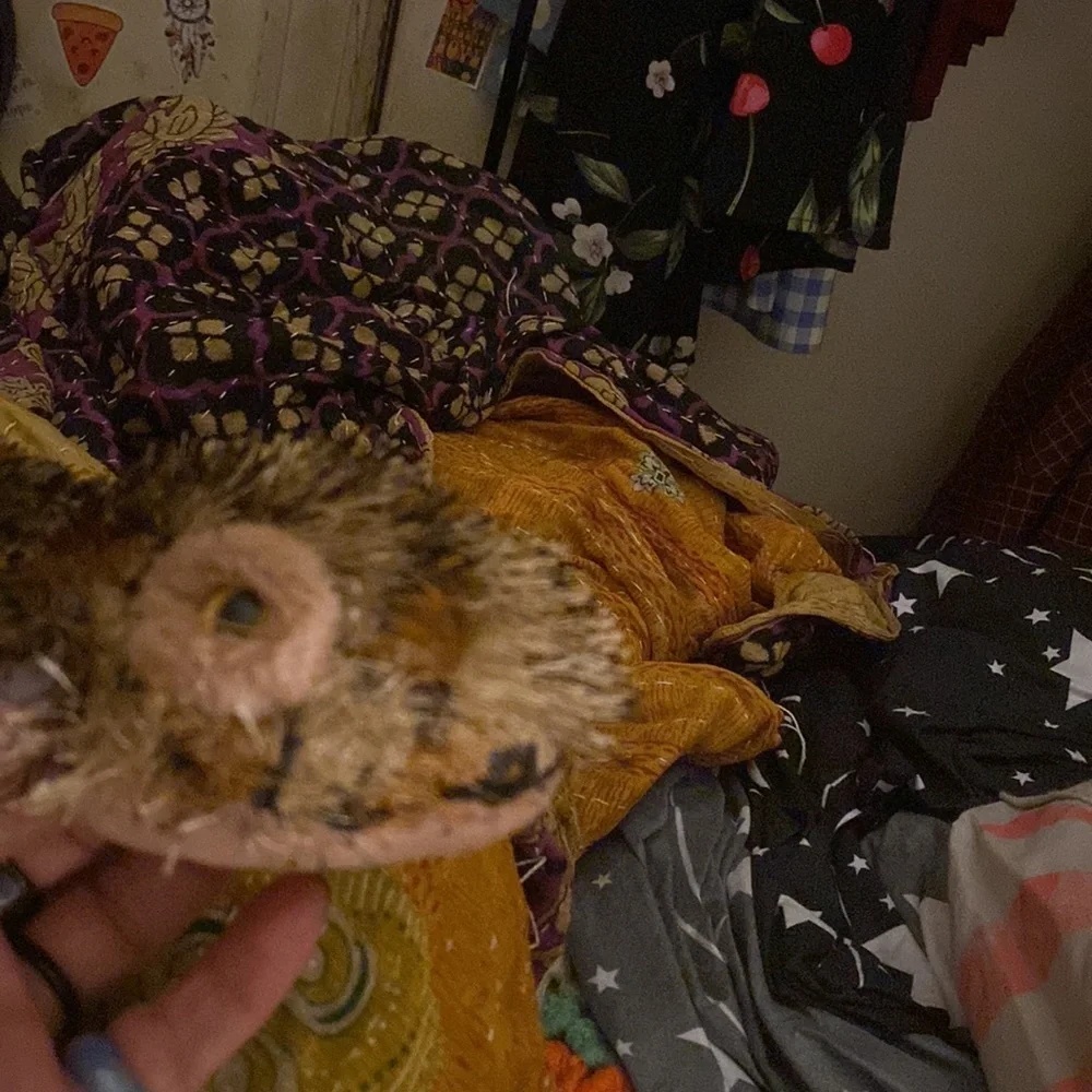 Ganz leopard lizard plush toy. He is gently loved and soft as a kitten! - Picture 3 of 9